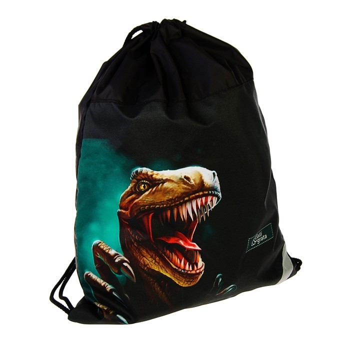 Рюкзак каркасный школьный, 39 х 28 х 18 см, + мешок для обуви, Calligrata П Рюкзак каркасный школьный, 39 х 28 х 18 см, + мешок для обуви, Calligrata П "Крутой дино", зелёный