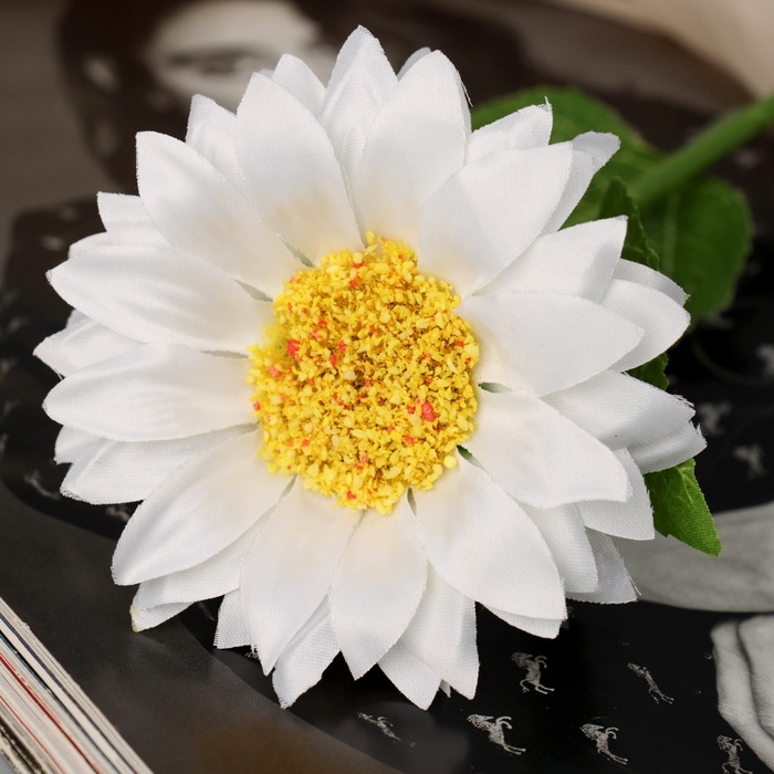 Цветы искусственные Цветы искусственные "Гербера шёлк галант" 45х9 см, белый