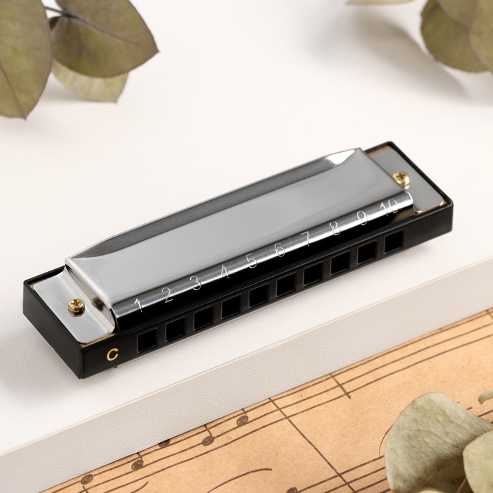 Губная гармошка Music Life T10-4 диатоническая, 10 отверстий, с футляром Губная гармошка Music Life T10-4 диатоническая, 10 отверстий, с футляром