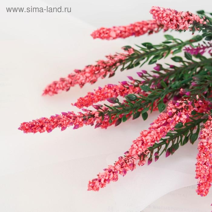 Букет Букет "Вереск" 35 см, микс