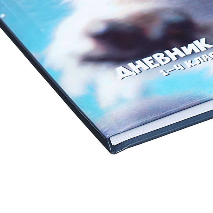 Дневник для 1-4 классов Дневник для 1-4 классов "Пушистые друзья. Волчонок", твёрдая обложка, глянцевая ламинация, 48 листов