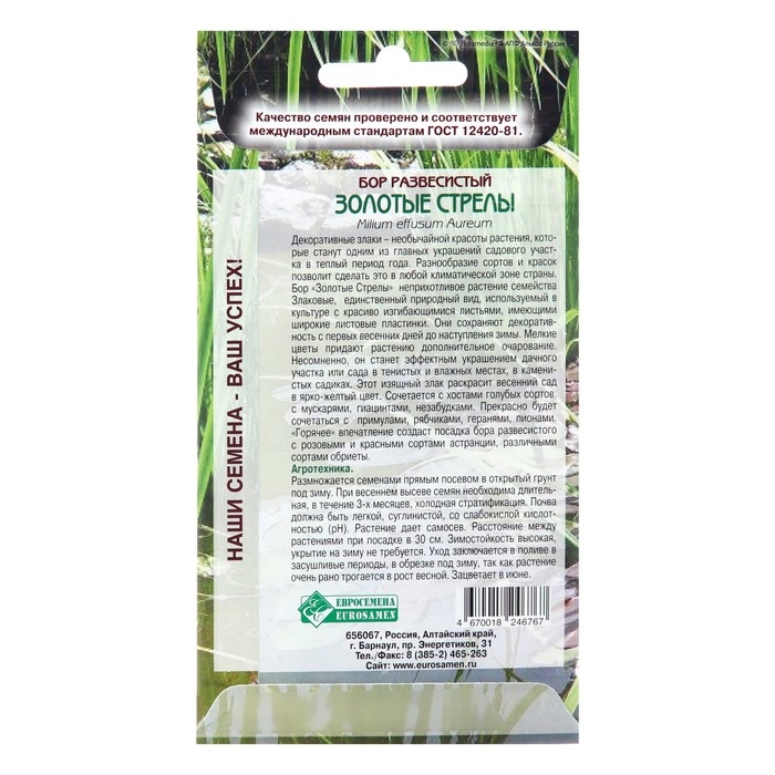Семена цветов Бор развесистый  Семена цветов Бор развесистый "Золотые Стрелы", 5 шт