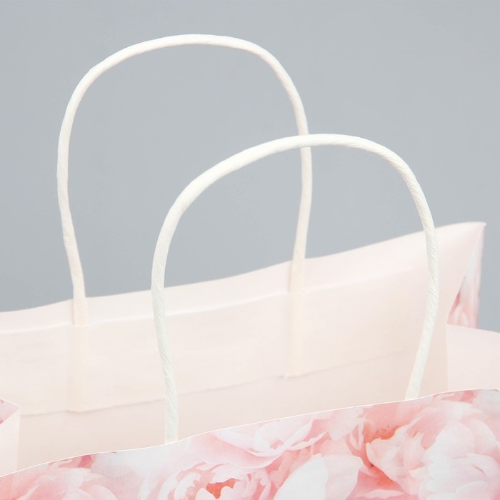 Пакет подарочный, упаковка, «Цветы», 22 х 22 х 11 см Пакет подарочный, упаковка, «Цветы», 22 х 22 х 11 см