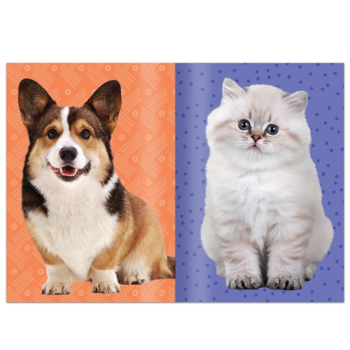 Книга с наклейками «Укрась питомца», 12 стр., 55 наклеек Книга с наклейками «Укрась питомца», 12 стр., 55 наклеек