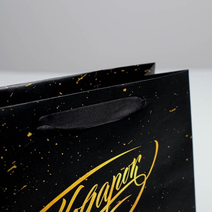 Пакет подарочный, упаковка, «Подарок», 22 х 17,5 х 8 см Пакет подарочный, упаковка, «Подарок», 22 х 17,5 х 8 см