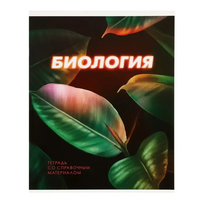 Тетради предметные Calligrata. 3D, 10 предметов, 48 листов, серые листы, со справочным материалом, обложка из мелованного картона