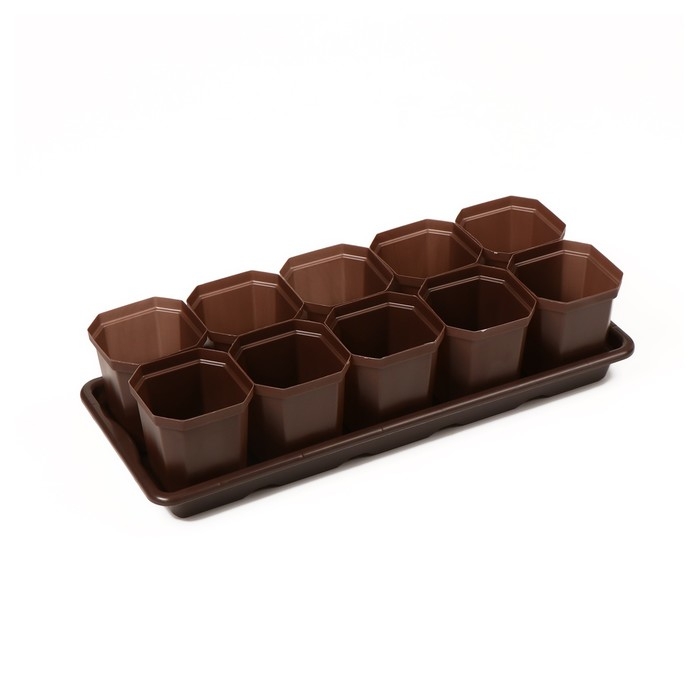 Набор для рассады: стаканы по 300 мл (10 шт.), поддон 41 × 17 см, цвет МИКС Набор для рассады: стаканы по 300 мл (10 шт.), поддон 41 × 17 см, цвет МИКС