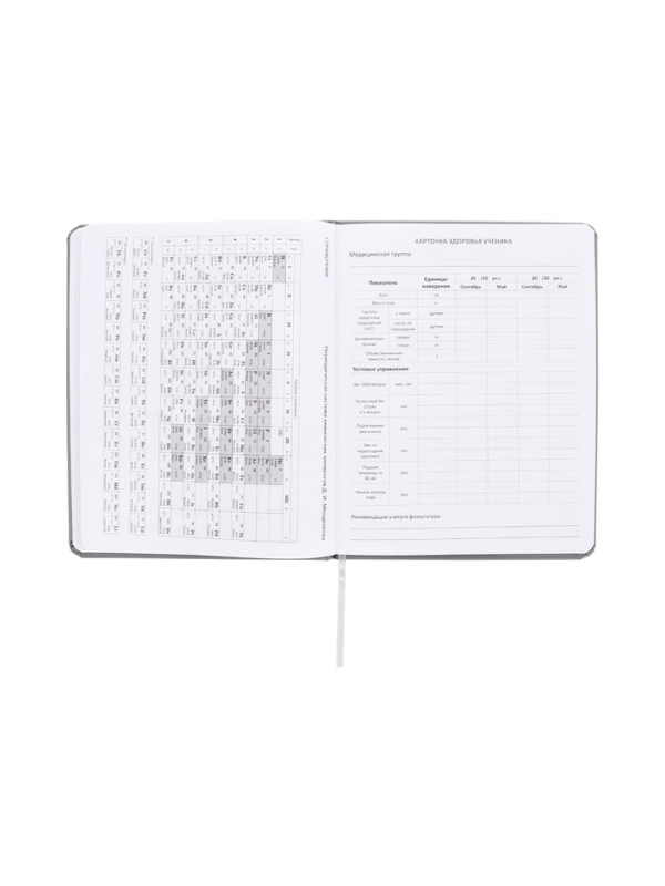 Дневник школьный 1-11 класс, deVENTE &laquo;Я ОК&raquo;, искусственная кожа, шелкография