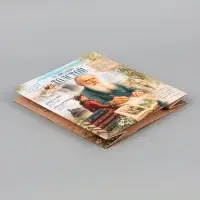 Пакет подарочный &laquo;Толстой&raquo;, 23&times;27&times;11.5 см