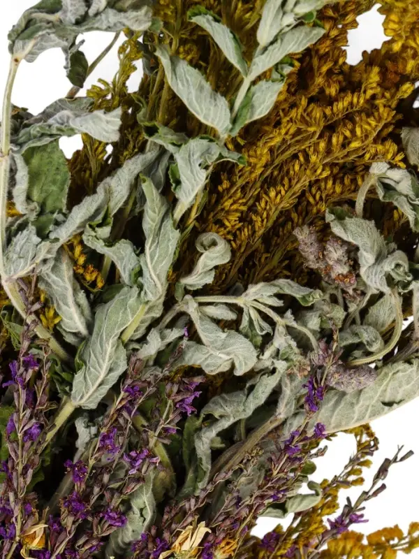 Веник для бани и сауны &laquo;Травяной коктейль&raquo;, 45 (&plusmn;5) см, донник, мята, шалфей, душица, полынь, пижма