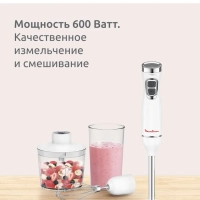Блендер погружной DD5431F0, 600 Вт