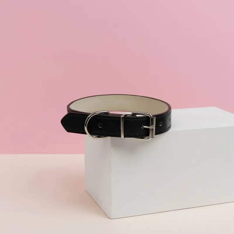 VETTA Ошейник для домашних животных, искусственная кожа, 2,5х50 см, обхват 35,5-45,5 см