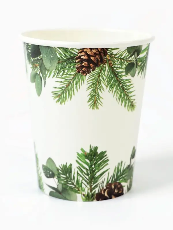 Набор бумажной посуды «С Новым годом», еловые ветки, 12 персон Набор бумажной посуды «С Новым годом», еловые ветки, 12 персон