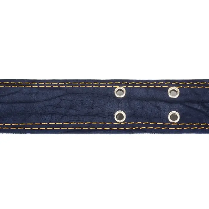 Ошейник комбинированный, безразмерный, 83&times;4.5 см, ОШ 20-70 см, кожа, брезент, синий