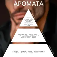 Туалетная вода Antonio Banderas Seduction In Black Man, 50 мл