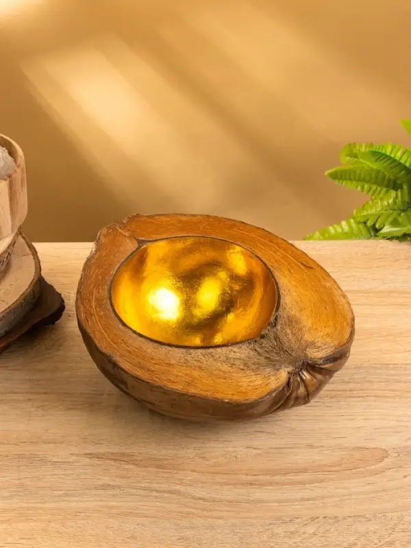 Чаша из кокоса, 22х24,5х9 см, коричнево-золотой