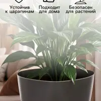 Горшок для цветов &laquo;Элеганс&raquo;, 4 л, d=22 см, h=20 см, пластиковый, с прикорневым поливом, серый