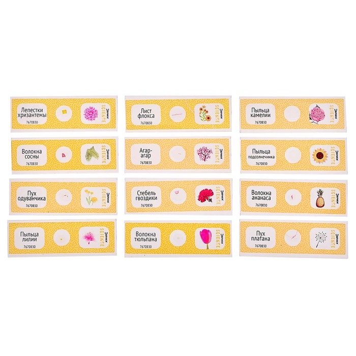 Набор для опытов «Набор микропрепаратов», цветы Набор для опытов «Набор микропрепаратов», цветы