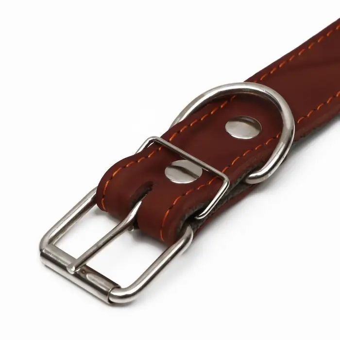 Ошейник комбинированный, безразмерный, 70&times;3.5 см, ОШ 25-60 см, кожа, брезент, коричневый