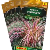 Набор семян Ковыль "Фейерверк", 5 шт. Набор семян Ковыль "Фейерверк", 5 шт.