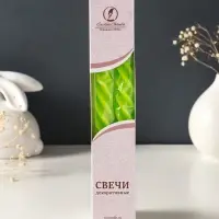 Набор свечей витых, 2.3&times;24.5 см, 5 ч, 50 г, 2 шт., зелёный, в подарочной коробке