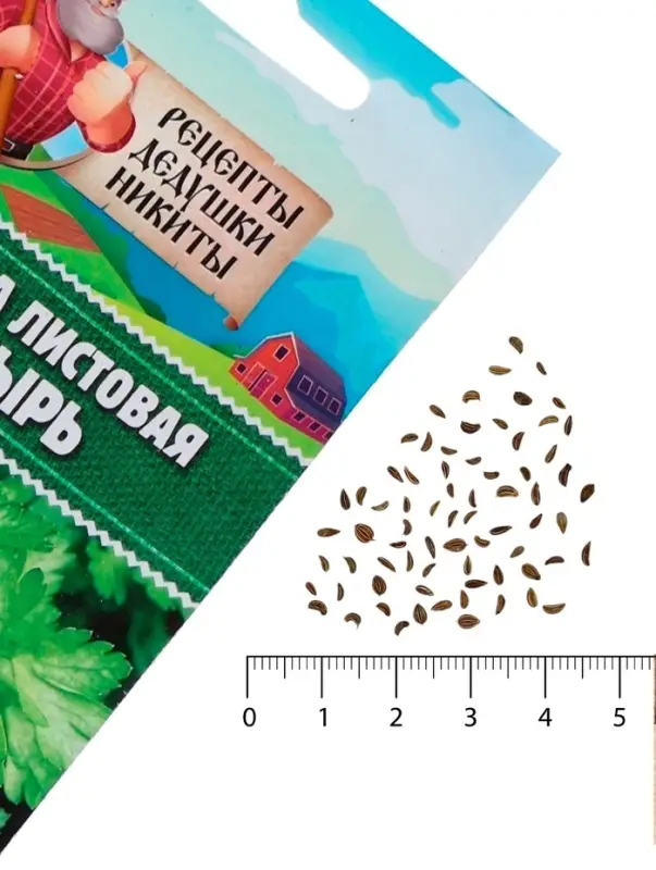 Семена петрушка листовая «Богатырь», 2 г