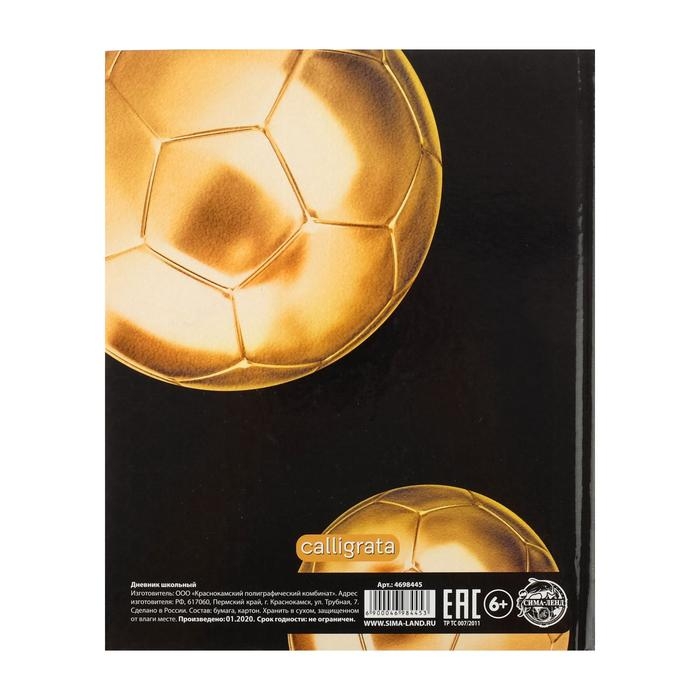 Дневник универсальный для 1-11 классов, "Золотой мяч", твердая обложка 7БЦ, глянцевая ламинация, 40 листов