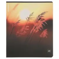 Тетрадь 48 листов в клетку ErichKrause Macro Nature, МИКС