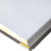 Ежедневник полудатированный А5+ п/дат. boss (серый) 3-404/273