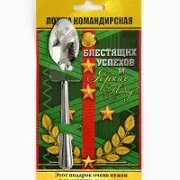 Ложка чайная с гравировкой &laquo;Командирская Ложка&raquo;, на подарочной открытке, 3&times;14 см