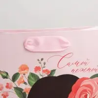 Пакет подарочный ламинированный, упаковка, &laquo;Самой&raquo;, MS 18&times;23&times;10 см