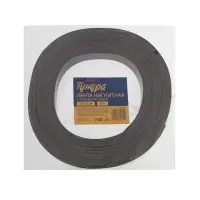 Магнитная лента ТУНДРА, с клеевым слоем, 25&times;1.5 мм, длина 10 м
