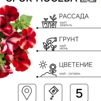 Семена цветов Петуния &laquo;Романтика мунлайт&raquo;, F1, 5 шт., Farao, &laquo;АЭЛИТА&raquo;