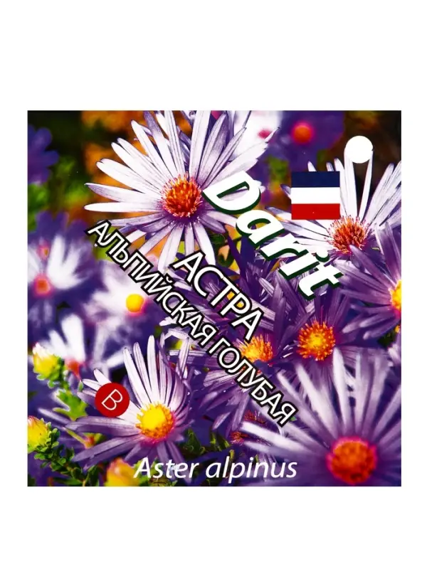 Семена цветов Астра Альпийская голубая Дарит 0,1г (400)