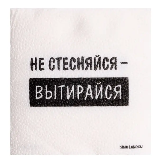 Салфетки бумажные однослойные &laquo;Не стесняйся-вытирайся&raquo;, 24&times;24 см, набор 20 шт.