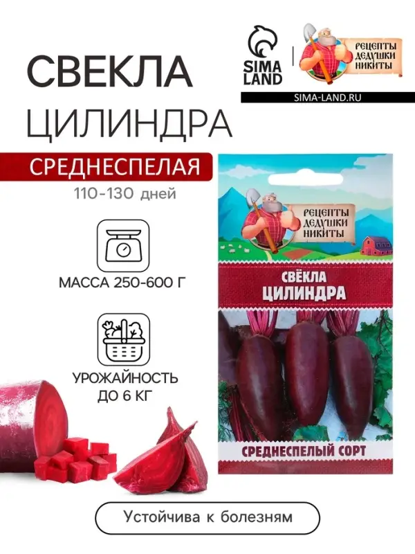 Семена Свёкла  Семена Свёкла "Цилиндра", 2 г