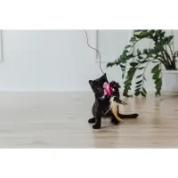 Дразнилка &laquo;Бабочка&raquo;, с перьями, цвет МИКС