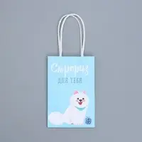 Пакет подарочный крафтовый, упаковка, «Сюрприз для тебя», 15 х 10 х 6 см