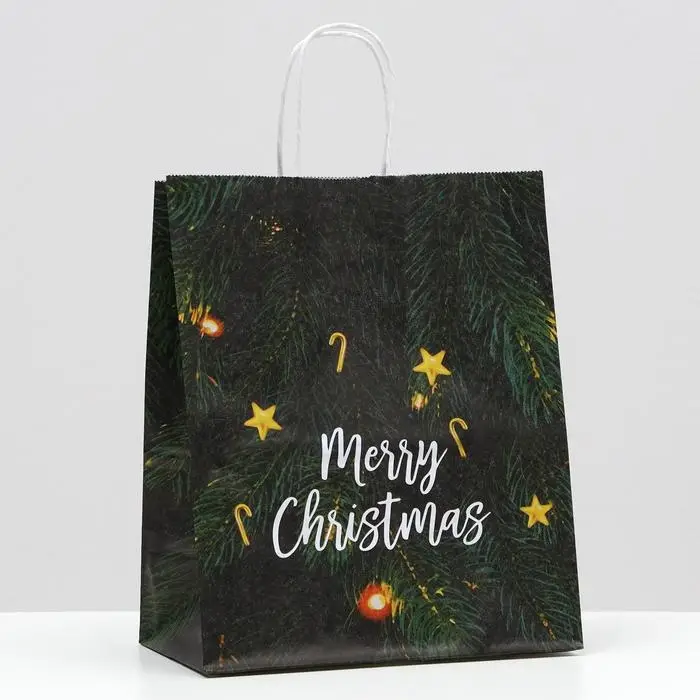 Пакет новогодний подарочный крафт «Снегопад», 22×12×27 см Пакет новогодний подарочный крафт «Снегопад», 22×12×27 см