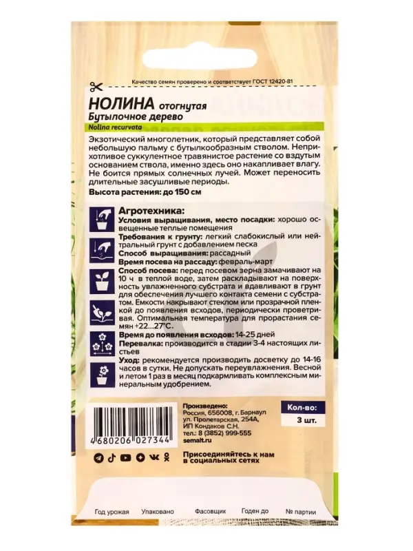 Семена комнатных цветов нолина &laquo;Бутылочное дерево&raquo;, 3 шт.