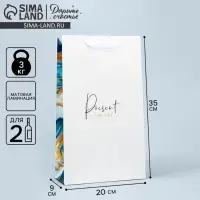 Пакет подарочный под две бутылки, упаковка, &laquo;Present for you&raquo;, 35&times;20&times;9 см