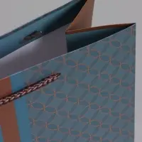 Пакет подарочный "Статусный акцент" ламинированный 26 х 12 х 32 см