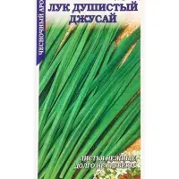 Семена Лук Душистый Джусай /Сотка/ 0,3 г/ среднесп. /*1100 Семена Лук Душистый Джусай /Сотка/ 0,3 г/ среднесп. /*1100