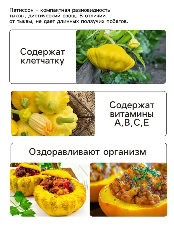 Семена Патиссон  Семена Патиссон "Копейка", 0,6 г