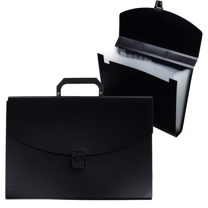 Папка-портфель А4 Calligrata, 13 отделений, 700 мкм, до 300 листов, чёрная Папка-портфель А4 Calligrata, 13 отделений, 700 мкм, до 300 листов, чёрная