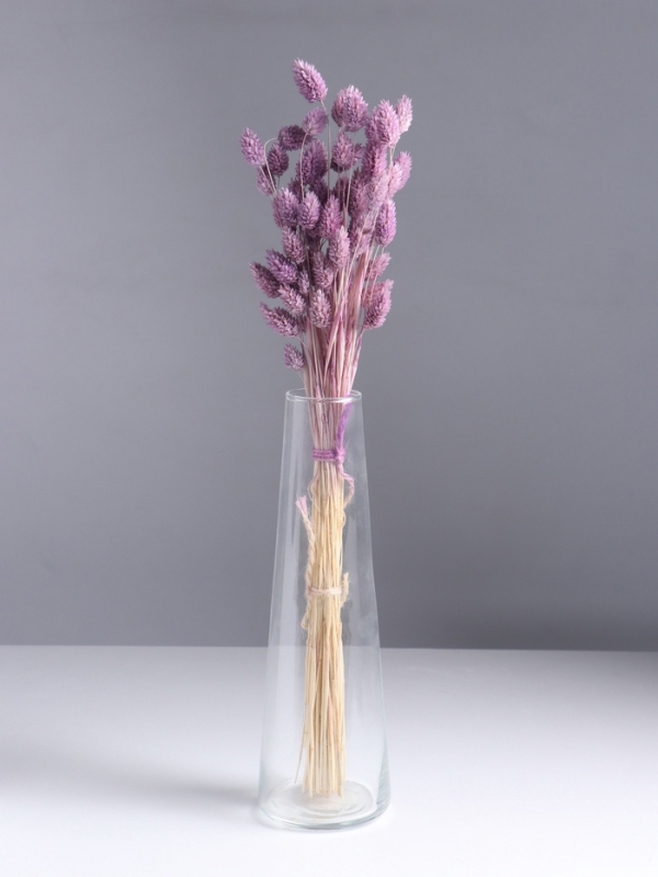 Набор сухоцветов "Фаларис", банч длина 55 (+/- 6 см), сиреневый