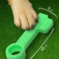 Жевательная игрушка для собак &laquo;Ключик&raquo;, 10 см, TPR, зелёная