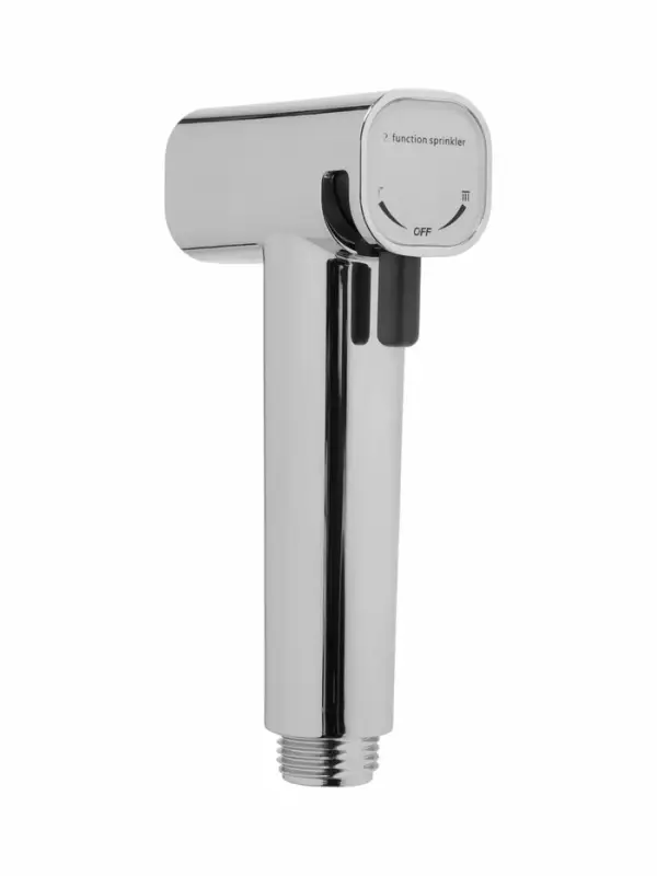 Гигиеническая лейка Accoona AF30501