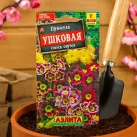 Семена цветов Примула "Ушковая", смесь окрасок, Мн, 0,02 г