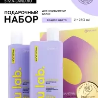 Подарочный набор &laquo;Защита цвета&raquo;: шампунь 250 мл, бальзам 250 мл, Ural Lab